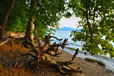 15606907216_f7ceef3685_o