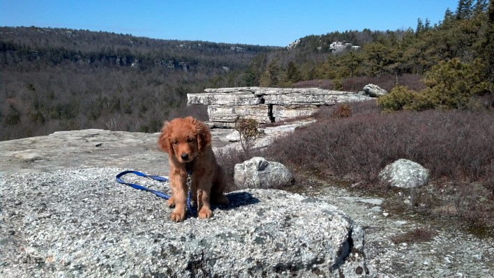 IMG_20140402_150055_127