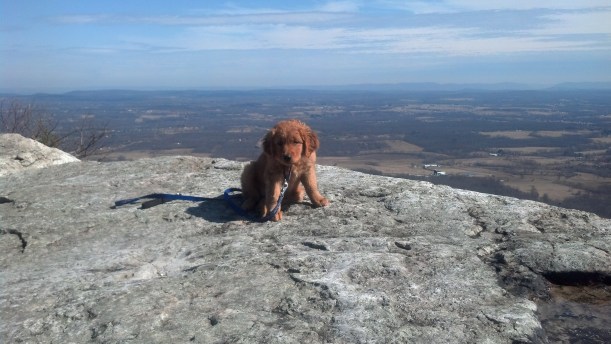 IMG_20140402_151702_100