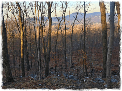 Screen Shot 2016-01-15 at 3.02.49 PM