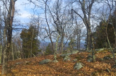 warwickmttop - Version 2